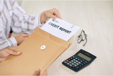 Woman showing credit report papers to client